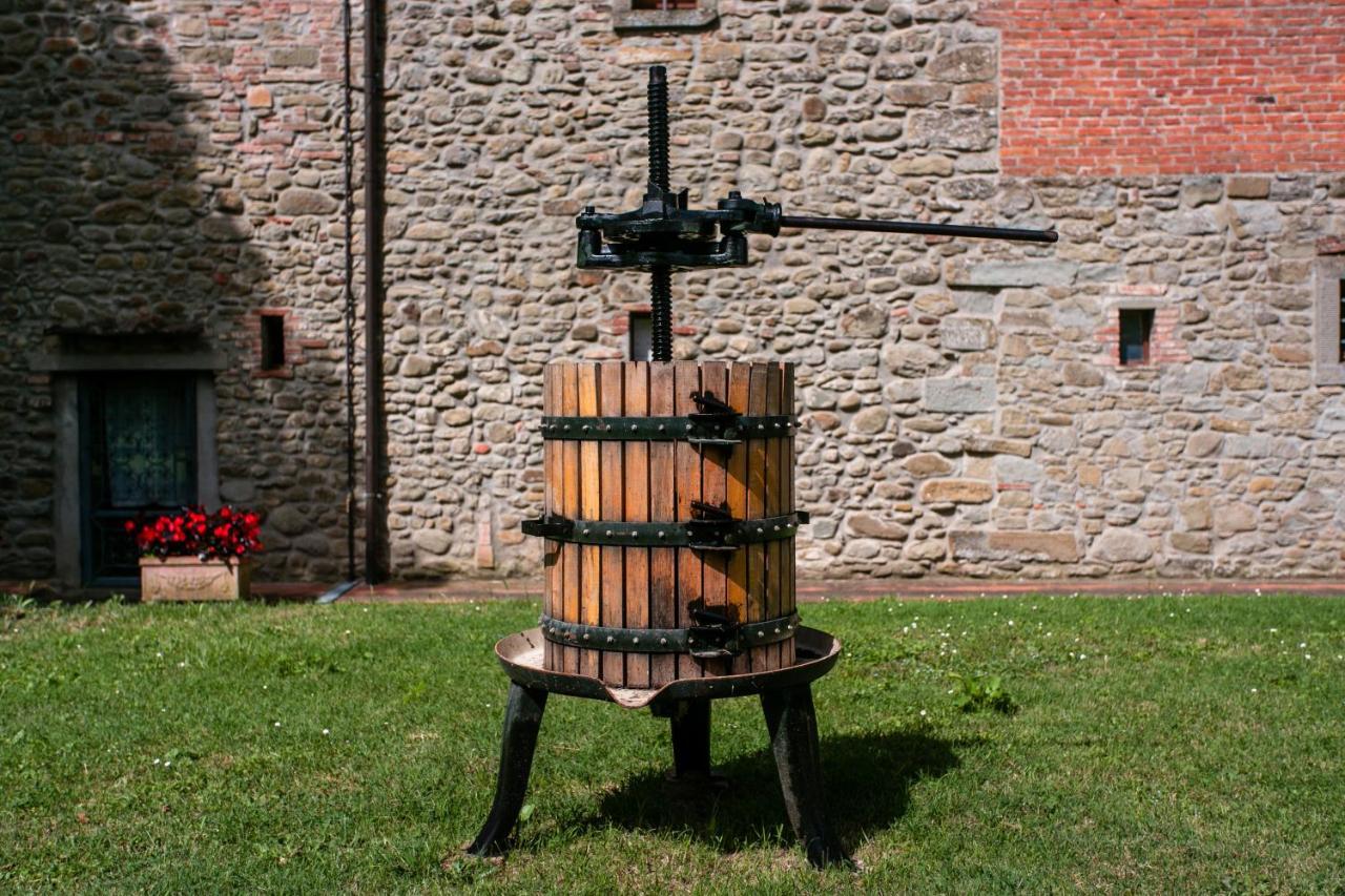 Il Gelso Lejlighed Cortona Eksteriør billede